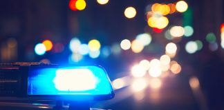 NO le digas esto a un agente de migración en los EEUU NO le digas esto a un agente de migración en los EEUU