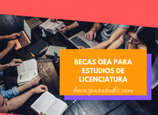 Becas OEA para licenciatura en Trinidad y Tobago Becas OEA para licenciatura en Trinidad y Tobago