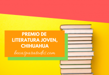 Premio de literatura joven, Estado de Chihuahua Premio de literatura joven, Estado de Chihuahua