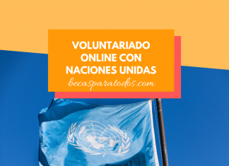 Voluntariado ONU online, cómo ser voluntario de la ONU Voluntariado ONU online, cómo ser voluntario de la ONU