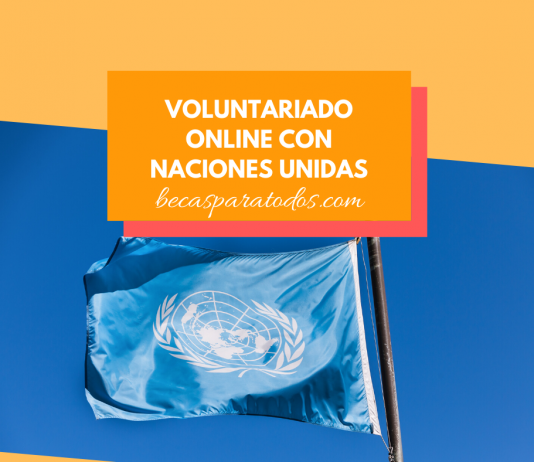 Voluntariado ONU online, cómo ser voluntario de la ONU Voluntariado ONU online, cómo ser voluntario de la ONU