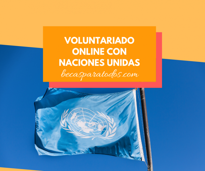 Voluntariado ONU online, cómo ser voluntario de la ONU