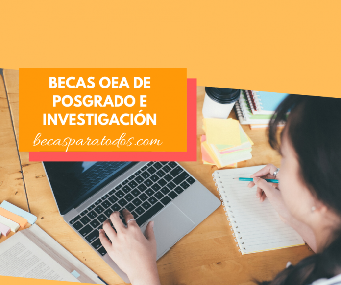 Becas OEA para estudios e investigación de postgrado