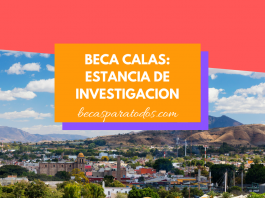 Beca CALAS, estancia de investigación en México Beca CALAS, estancia de investigación en México