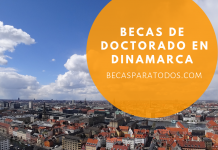 Becas de Doctorado en Dinamarca, varias áreas Becas de Doctorado en Dinamarca, varias áreas