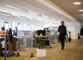 ¿ Qué es liderazgo empresarial? Ejemplos ¿ Qué es liderazgo empresarial? Ejemplos