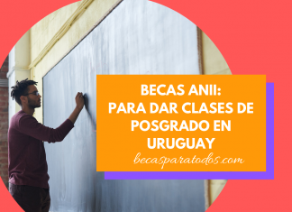 Becas ANII para profesores, para dar clases en Uruguay Becas ANII para profesores, para dar clases en Uruguay
