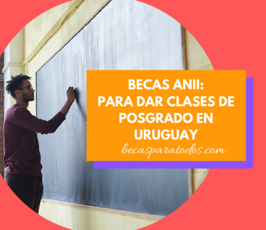 Becas ANII para profesores, para dar clases en Uruguay Becas ANII para profesores, para dar clases en Uruguay