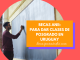 Becas ANII para profesores, para dar clases en Uruguay Becas ANII para profesores, para dar clases en Uruguay