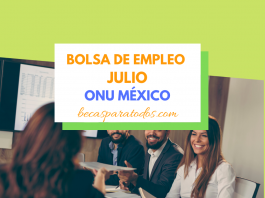 Vacantes para trabajar en la ONU México, julio Vacantes para trabajar en la ONU México, julio