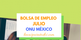 Vacantes para trabajar en la ONU México, julio Vacantes para trabajar en la ONU México, julio