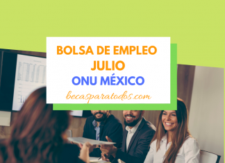 Vacantes para trabajar en la ONU México, julio Vacantes para trabajar en la ONU México, julio