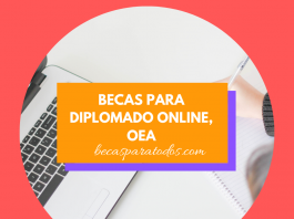 Diplomatura en Gestión Pública de la OEA, online Diplomatura en Gestión Pública de la OEA, online