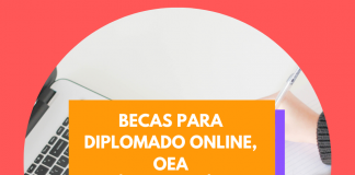Diplomatura en Gestión Pública de la OEA, online Diplomatura en Gestión Pública de la OEA, online