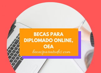 Diplomatura en Gestión Pública de la OEA, online Diplomatura en Gestión Pública de la OEA, online