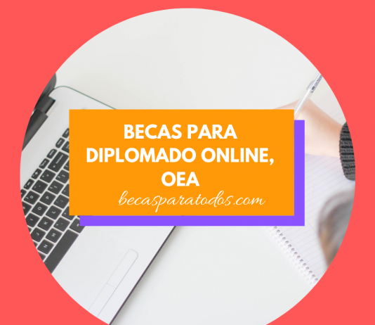 Diplomatura en Gestión Pública de la OEA, online Diplomatura en Gestión Pública de la OEA, online