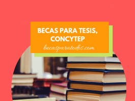 Becas para tesis, CONCYTEP Becas para tesis, CONCYTEP