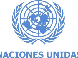Hay trabajo en ONU México, mira las vacantes de agosto Hay trabajo en ONU México, mira las vacantes de agosto