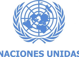 Hay trabajo en ONU México, mira las vacantes de agosto Hay trabajo en ONU México, mira las vacantes de agosto