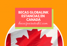 Becas Globalink para estancia de investigación en Canadá Becas Globalink para estancia de investigación en Canadá