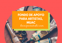 Meollo de principios para artistas, MUAC Meollo de principios para artistas, MUAC