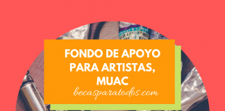 Meollo de principios para artistas, MUAC Meollo de principios para artistas, MUAC