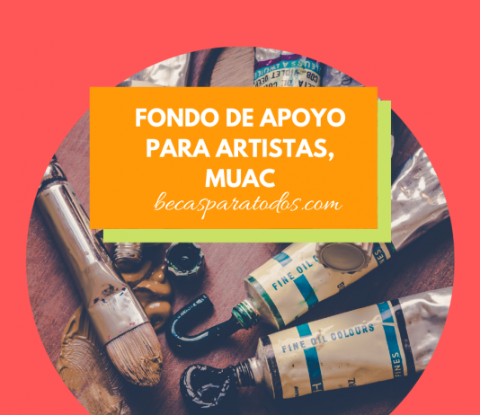 Meollo de principios para artistas, MUAC Meollo de principios para artistas, MUAC