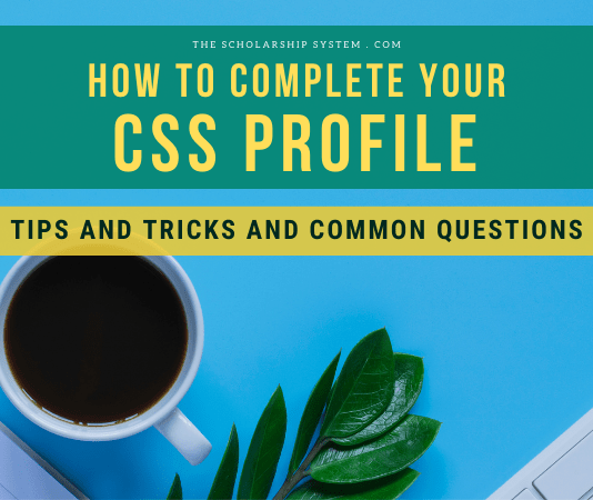 How to Total your CSS Profile: Idea and Typical Concerns How to Total your CSS Profile: Idea and Typical Concerns