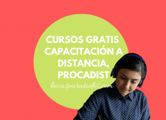 PROCADIST cursos, programa de capacitación a distancia para trabajadores PROCADIST cursos, programa de capacitación a distancia para trabajadores