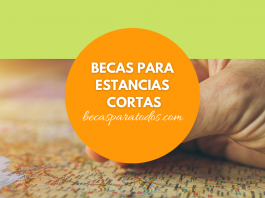Becas Grodman, estancias en México o extranjero Becas Grodman, estancias en México o extranjero