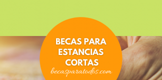 Becas Grodman, estancias en México o extranjero Becas Grodman, estancias en México o extranjero