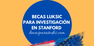 Becas Luksic para estudiar en Stanford Becas Luksic para estudiar en Stanford