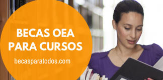 Becas OEA para cursos en línea sobre gestión Becas OEA para cursos en línea sobre gestión