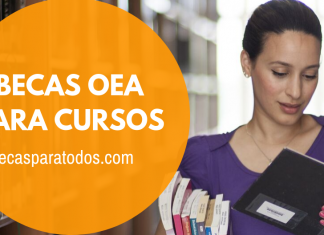 Becas OEA para cursos en línea sobre gestión Becas OEA para cursos en línea sobre gestión