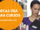 Becas OEA para cursos en línea sobre gestión Becas OEA para cursos en línea sobre gestión