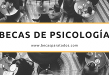 Construcción Alicia Koplowitz ofrece becas en Psiquiatría y Psicología Construcción Alicia Koplowitz ofrece becas en Psiquiatría y Psicología