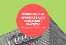 Programa Double Aprendices Audi, formación y prácticas para mexicanos Programa Double Aprendices Audi, formación y prácticas para mexicanos