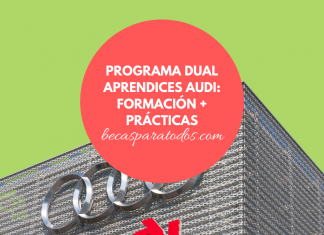 Programa Double Aprendices Audi, formación y prácticas para mexicanos Programa Double Aprendices Audi, formación y prácticas para mexicanos