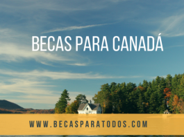 Becas Humber para cursar estudios de licenciatura, en Canadá Becas Humber para cursar estudios de licenciatura, en Canadá