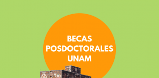 Becas posdoctorales, UNAM para investigadores Becas posdoctorales, UNAM para investigadores