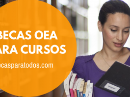 Becas OEA para cursos en línea sobre gestión y turismo Becas OEA para cursos en línea sobre gestión y turismo