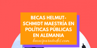 Becas Helmut-Schmidt maestrías en Políticas Públicas en Alemania Becas Helmut-Schmidt maestrías en Políticas Públicas en Alemania