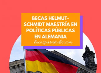 Becas Helmut-Schmidt maestrías en Políticas Públicas en Alemania Becas Helmut-Schmidt maestrías en Políticas Públicas en Alemania