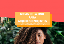 Becas de la ONU para afrodescendientes, formación en línea Becas de la ONU para afrodescendientes, formación en línea