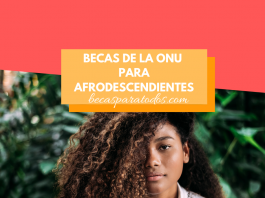 Becas de la ONU para afrodescendientes, formación en línea Becas de la ONU para afrodescendientes, formación en línea