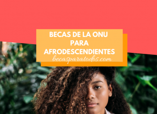 Becas de la ONU para afrodescendientes, formación en línea Becas de la ONU para afrodescendientes, formación en línea
