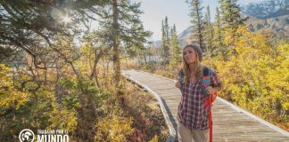 Cómo obtener una visa de trabajo en Canadá Cómo obtener una visa de trabajo en Canadá