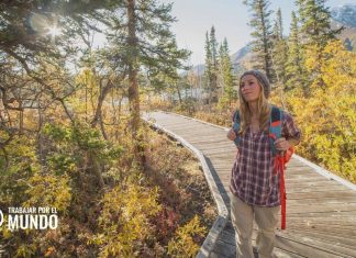 Cómo obtener una visa de trabajo en Canadá Cómo obtener una visa de trabajo en Canadá