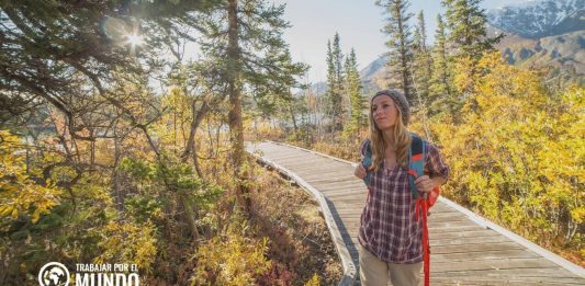Cómo obtener una visa de trabajo en Canadá Cómo obtener una visa de trabajo en Canadá