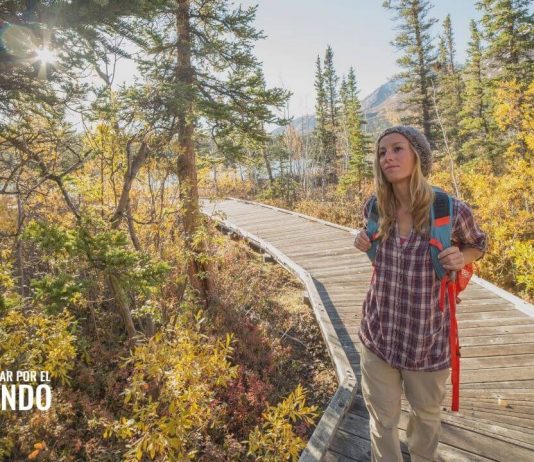 Cómo obtener una visa de trabajo en Canadá Cómo obtener una visa de trabajo en Canadá